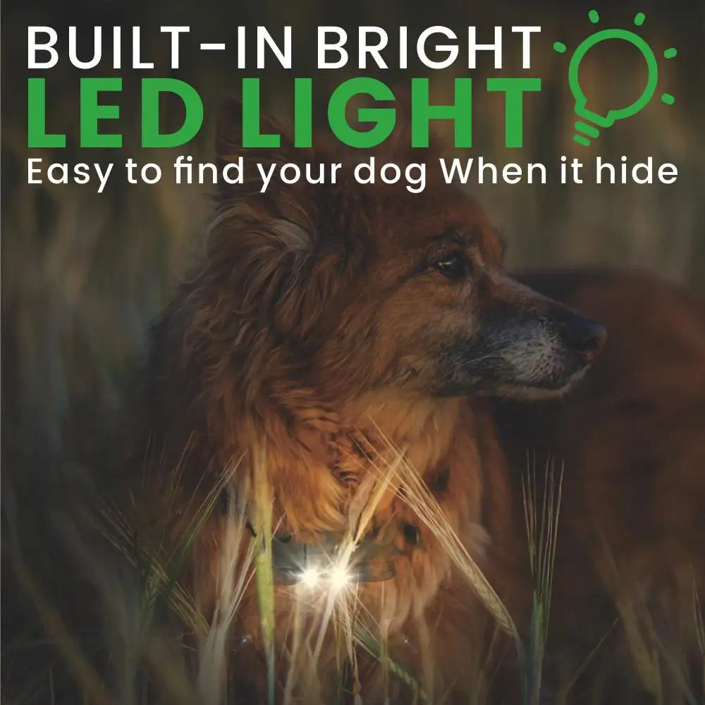 Remote Dog Training E-Collar 8