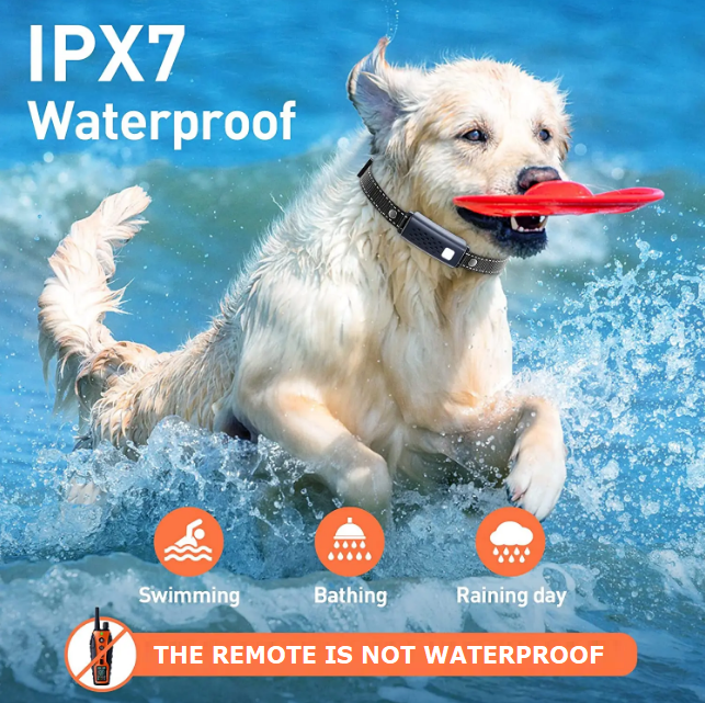 RS3 Remote Dog Training Shock Collar 1200m IPX7 waterproof