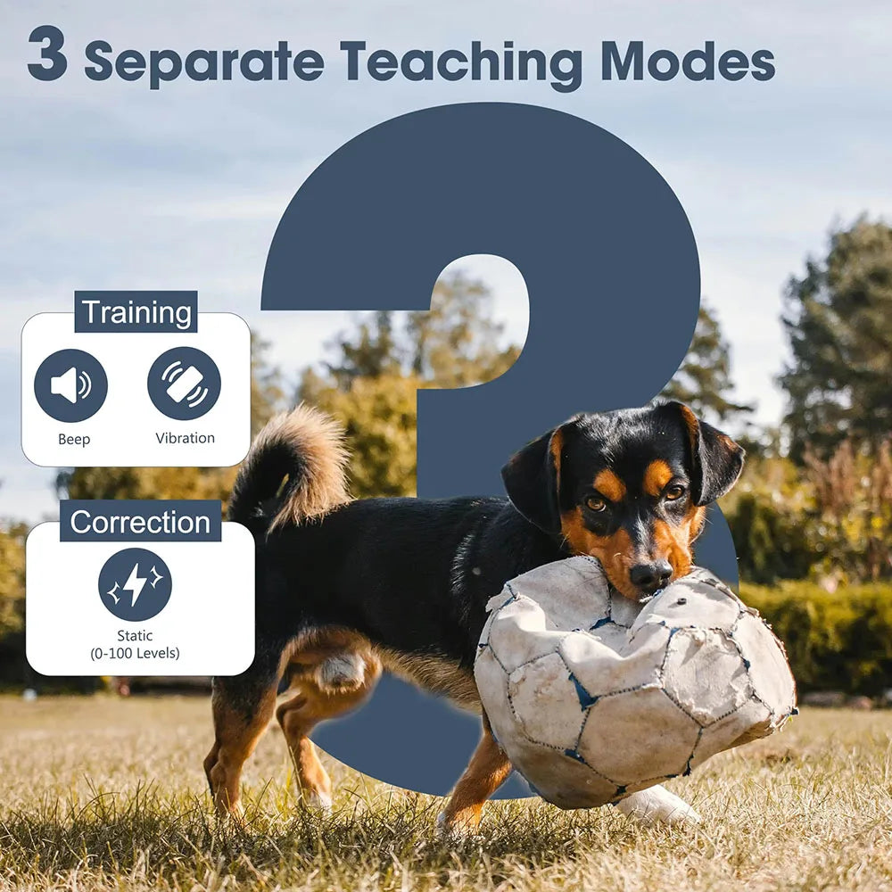 PET625 Remote Dog Training E-Collar training modes