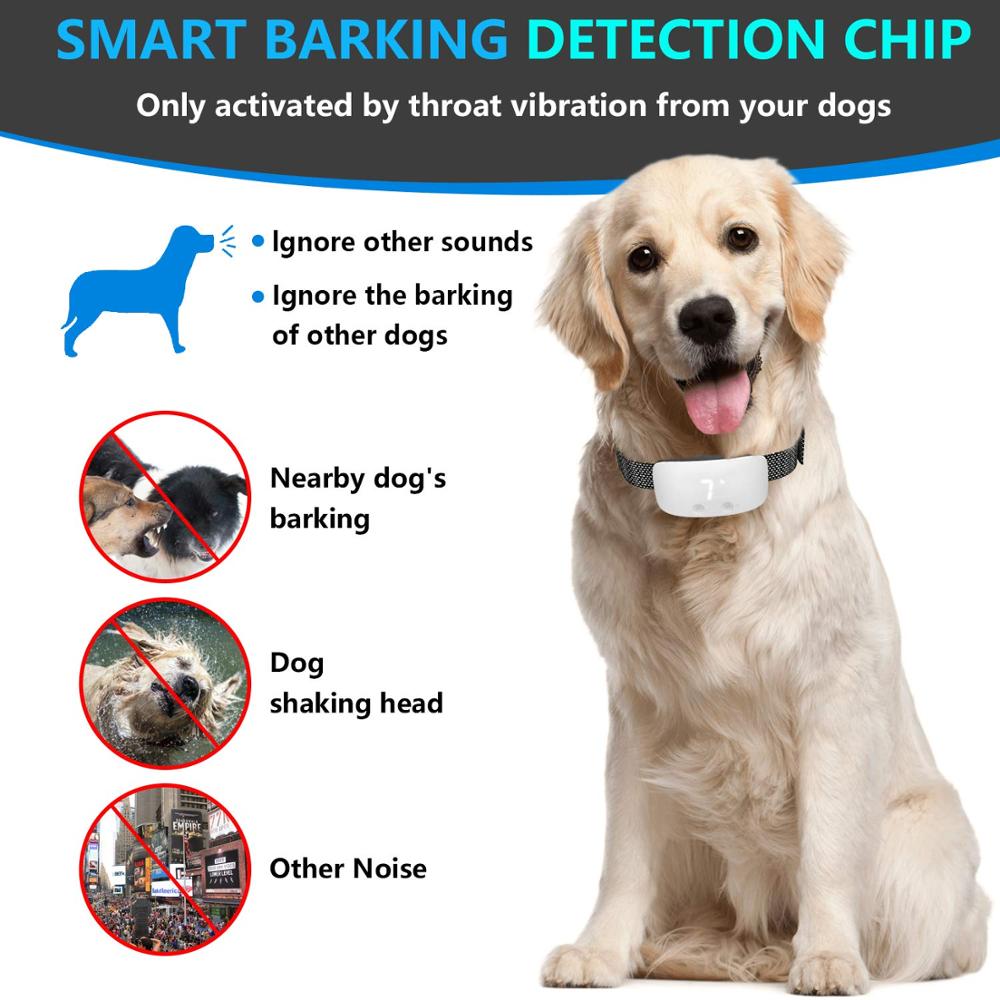 Petrainer PET001 Smart Auto Anti Bark E-Collar 3