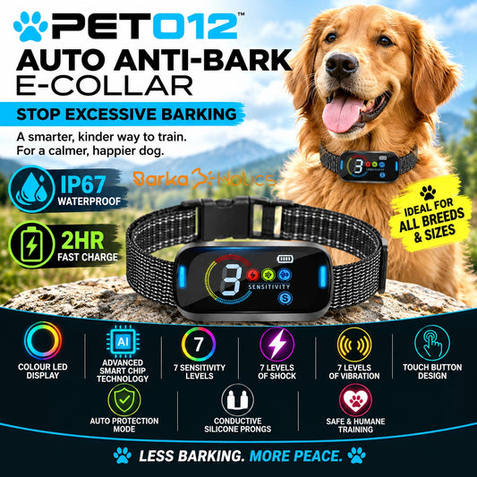 Petrainer PET012 Advanced Auto Anti Bark E-Collar S-M-L Dogs