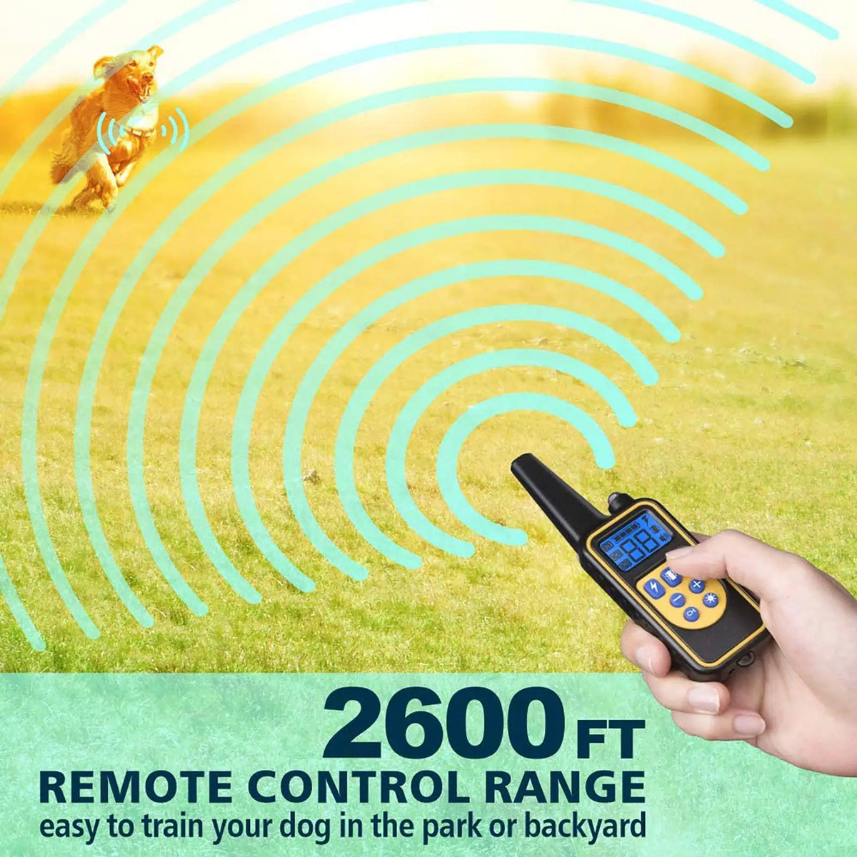 Remote Dog Training E-Collar 2
