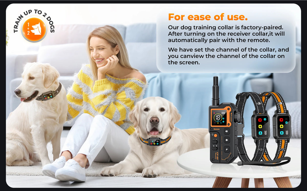 Remote Dog Training E-Collar 7