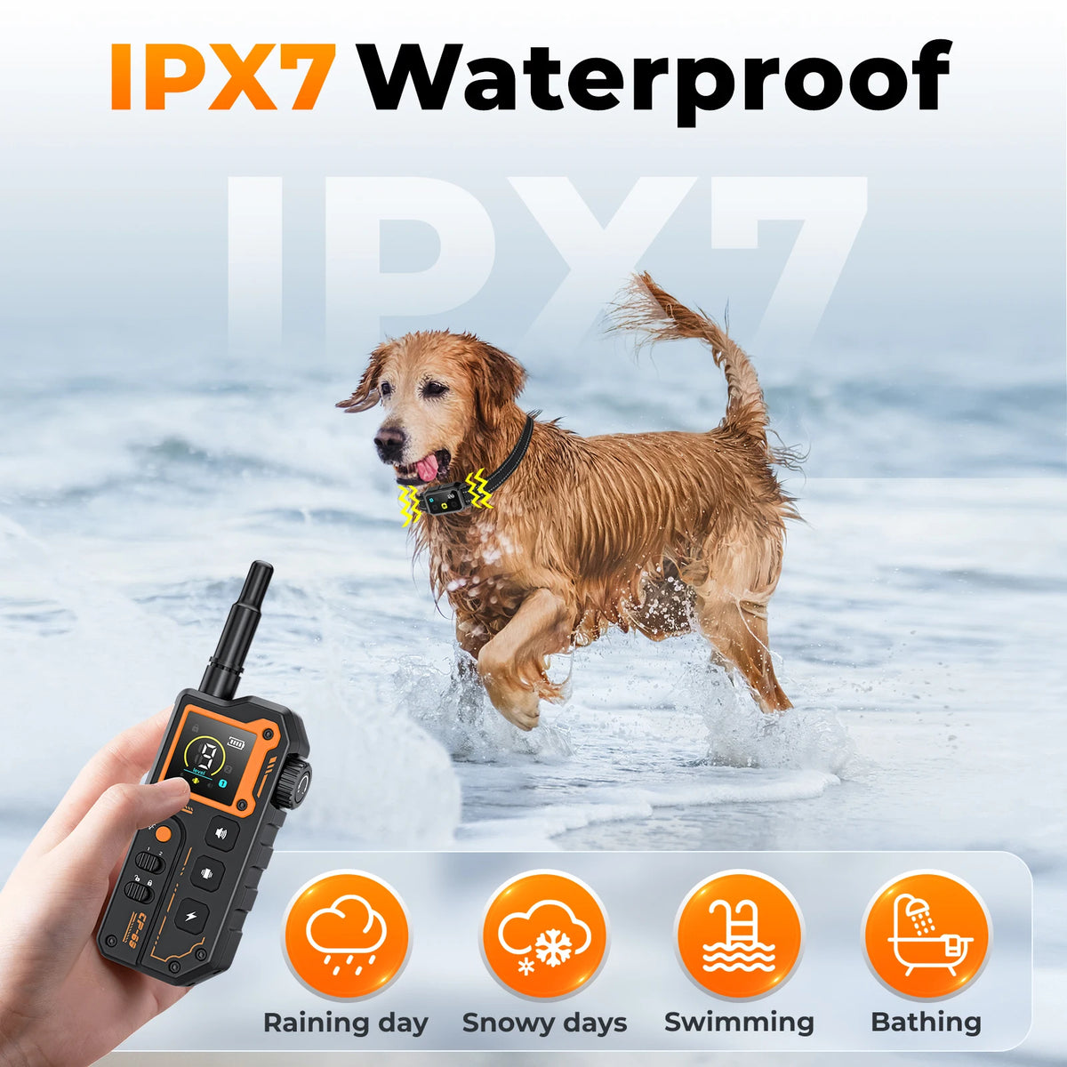 Remote Dog Training E-Collar 2