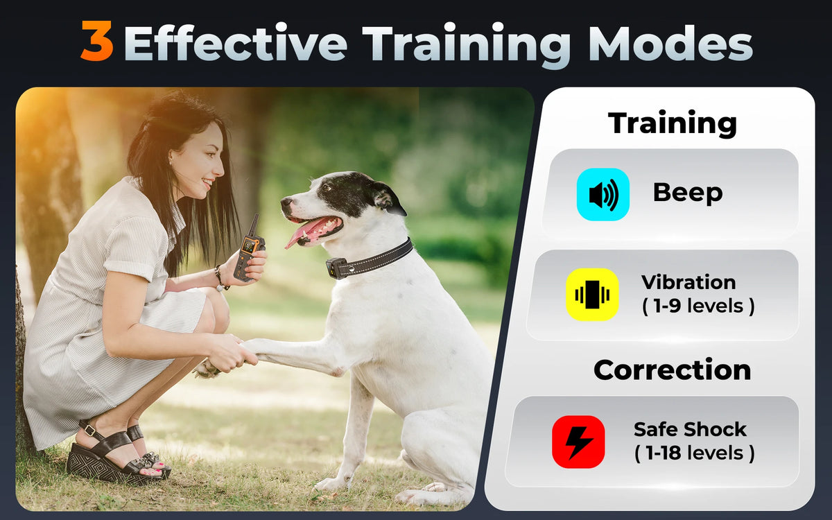 Remote Dog Training E-Collar 6