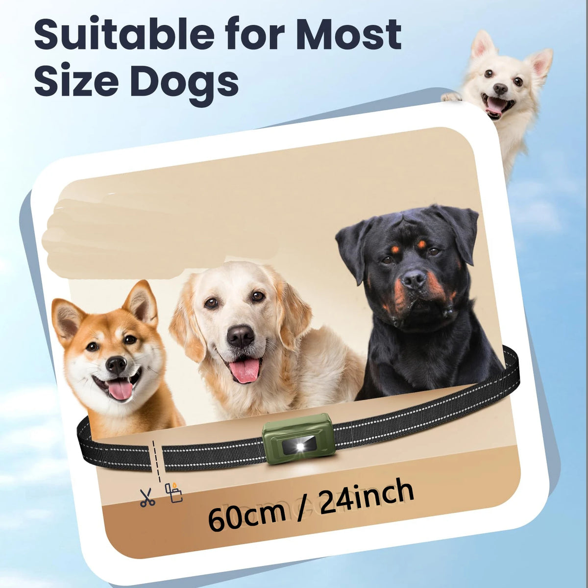 RS5 Remote Dog Training E-Collar 3