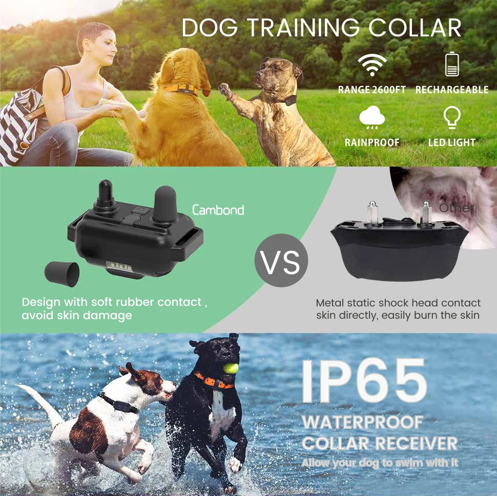 Remote Dog Training E-Collar 7