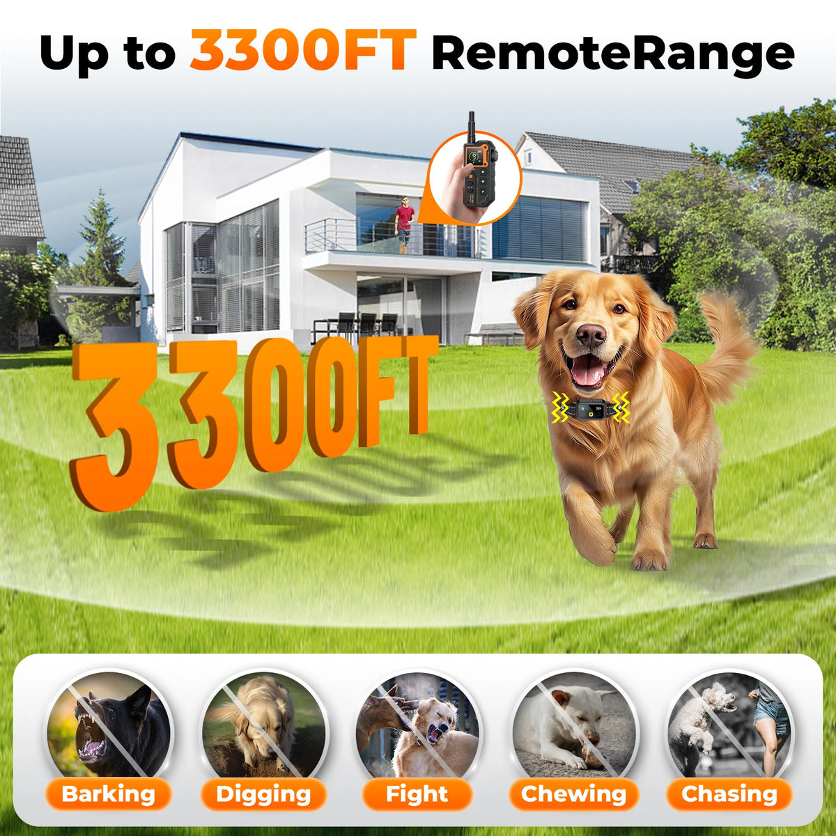 Remote Dog Training E-Collar 1