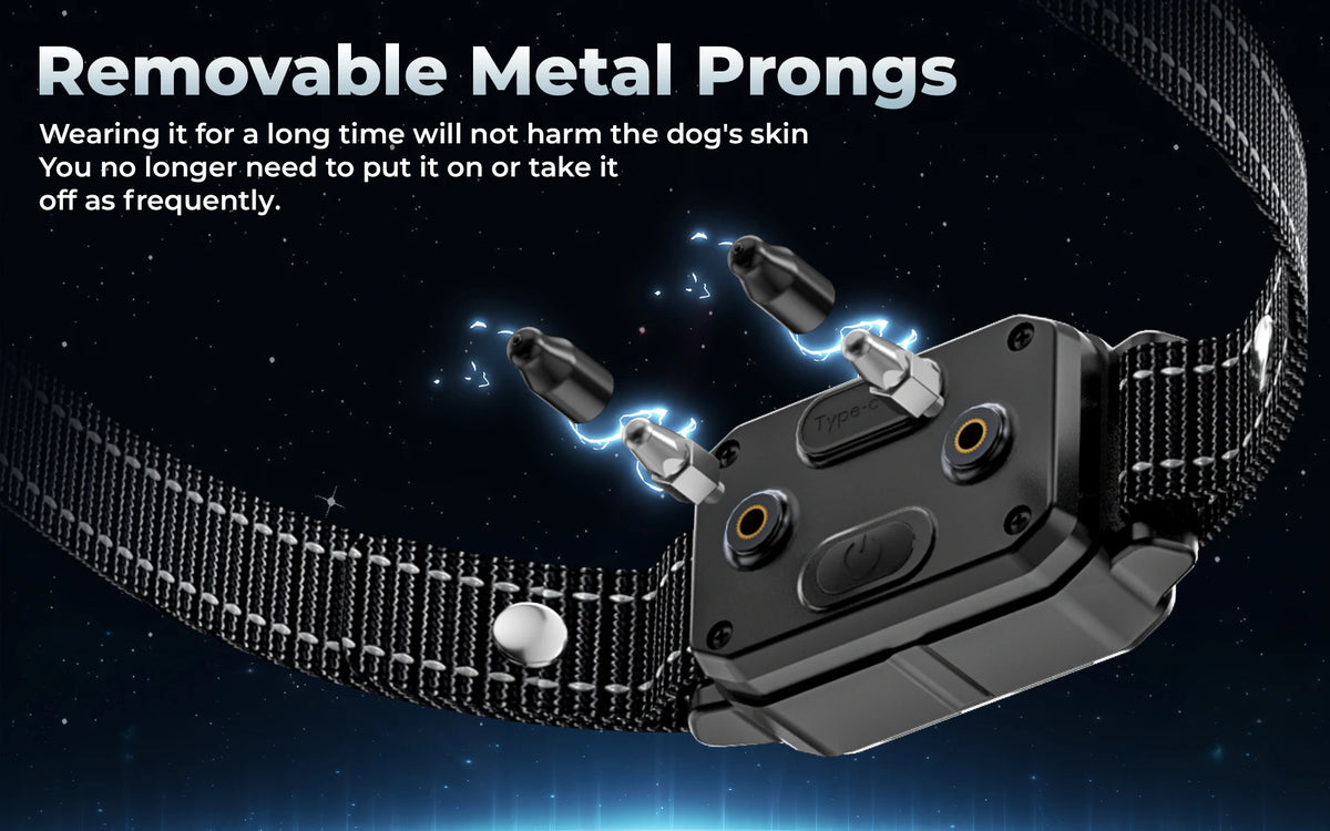 Remote Dog Training E-Collar 9