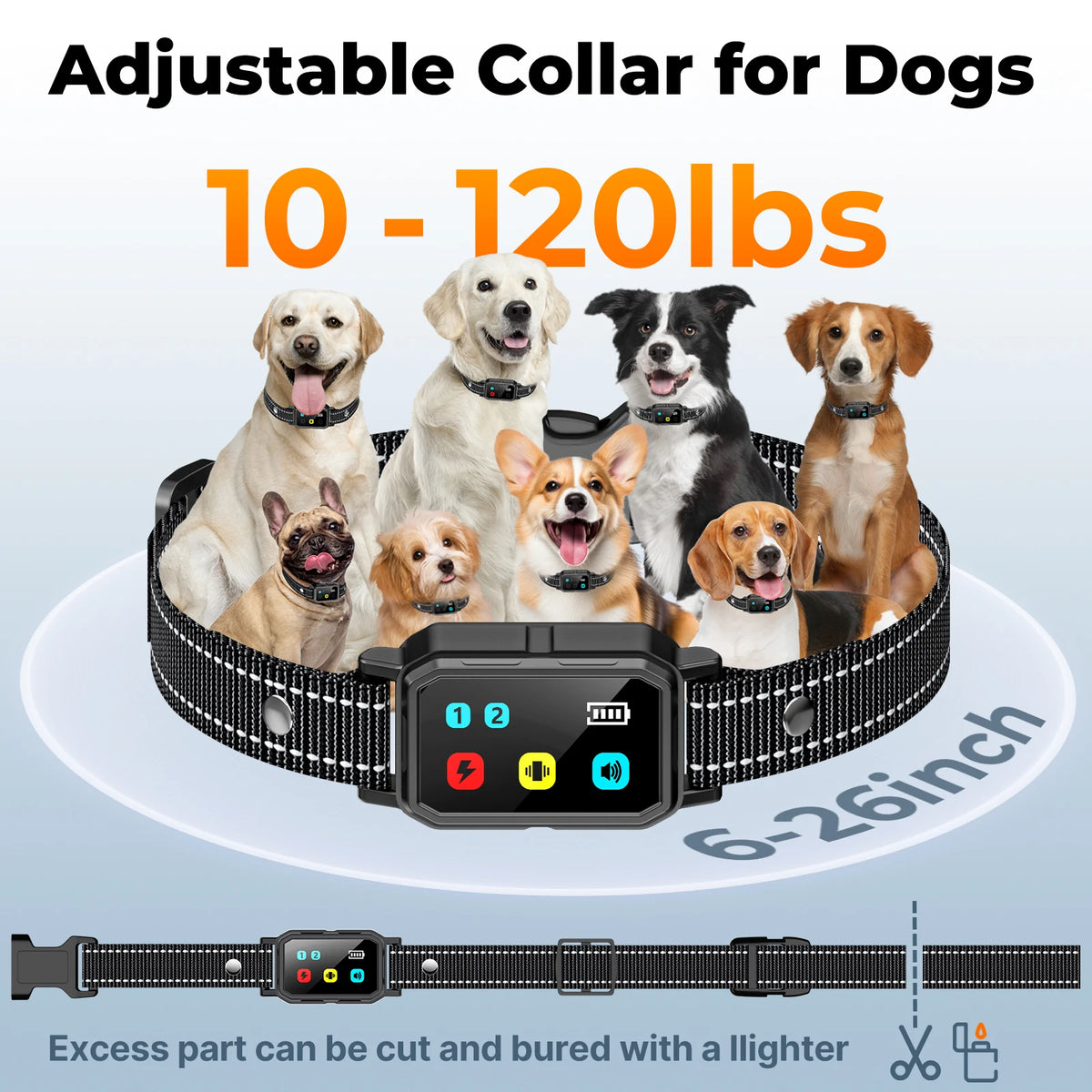 Remote Dog Training E-Collar 4
