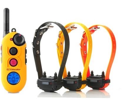EZ-900 "EASY" EDUCATOR® 800m Remote E-Collar 2-4 Dogs