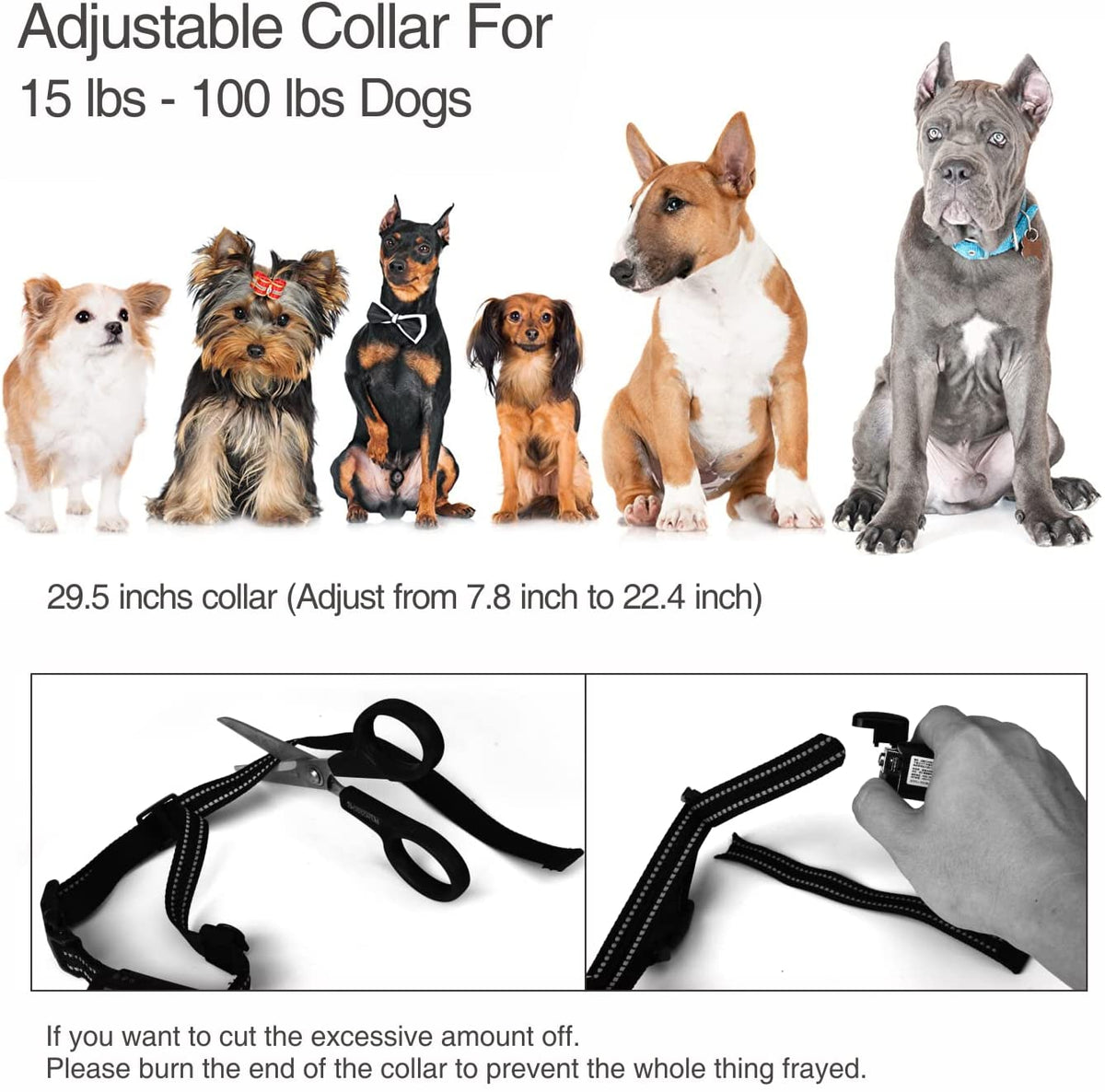 BH400R 2-in-1 Anti-Bark and Remote Dog Training Collar - 2