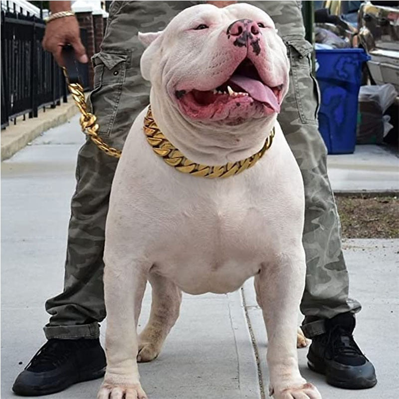 32mm Stainless Steel Cuban Link Dog Collar - BARKAHOLICS®